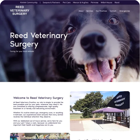 Kin Vet Community work example